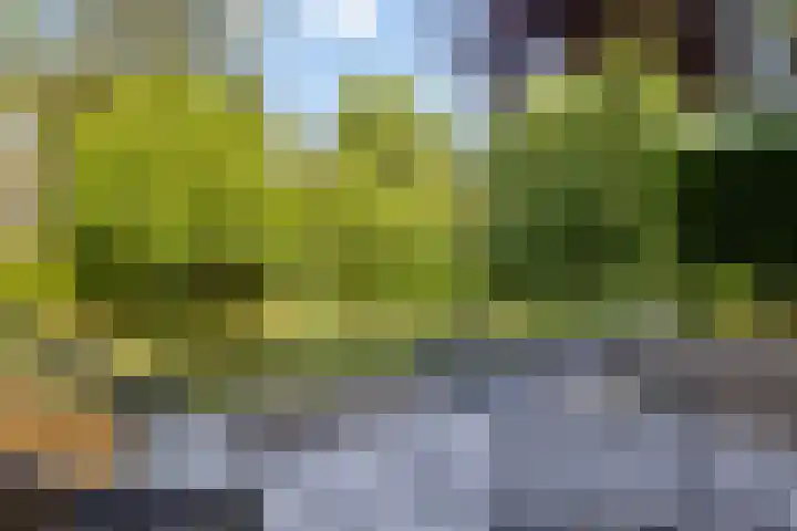 Dadelberg 17 Roosendaal thumbnail 4
