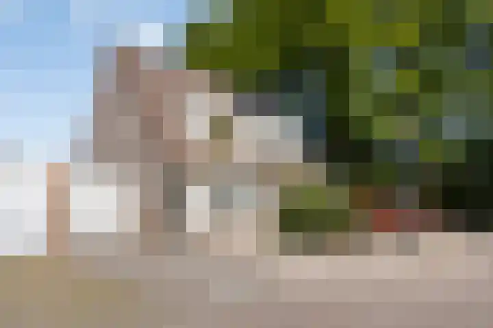 Dadelberg 17 Roosendaal thumbnail 46