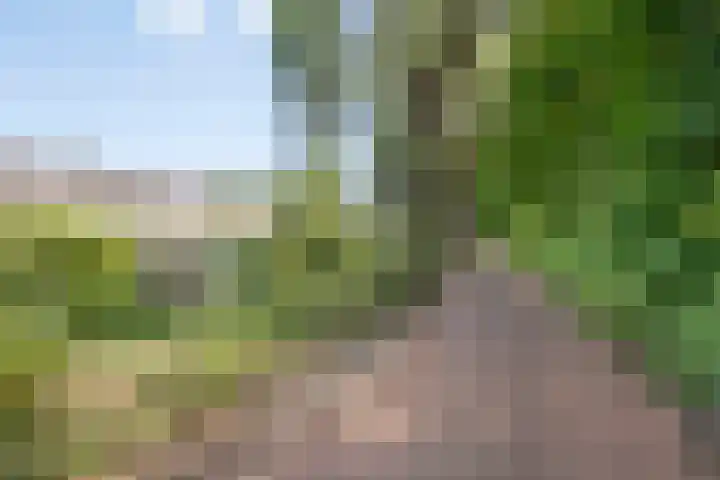 Dadelberg 17 Roosendaal thumbnail 47