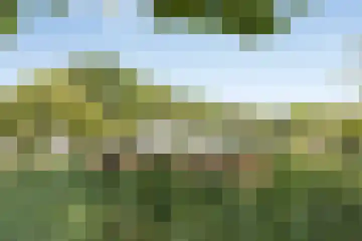 Dadelberg 17 Roosendaal thumbnail 48