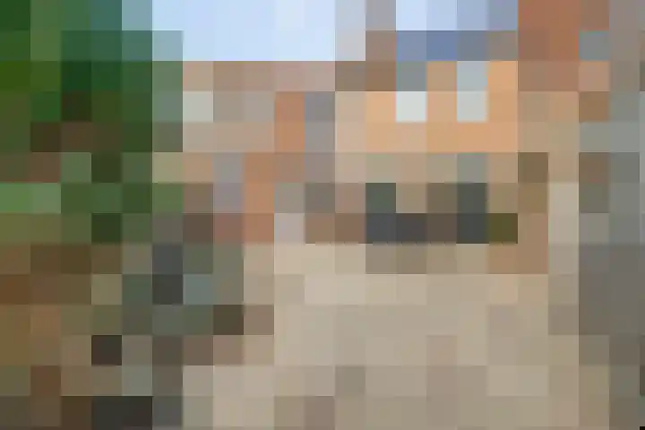 Dadelgaard 13 Spijkenisse thumbnail 12