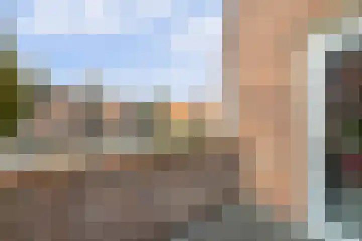 Dadelgaard 13 Spijkenisse thumbnail 14