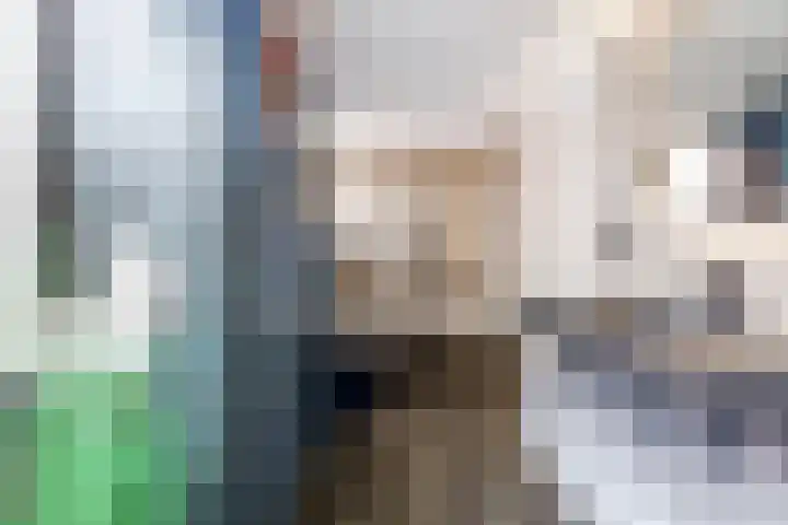 Dadelgaard 13 Spijkenisse thumbnail 16
