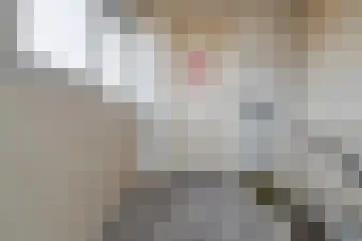 Dadelgaard 13 Spijkenisse thumbnail 22