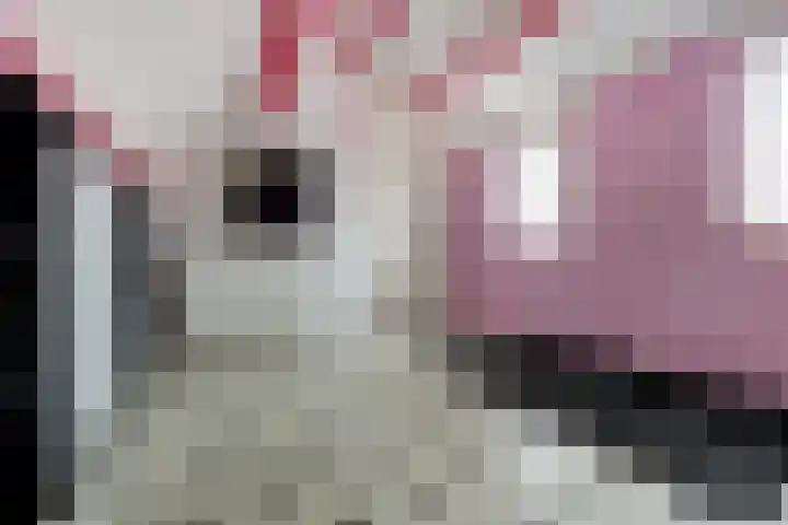 Dadelgaard 13 Spijkenisse thumbnail 26