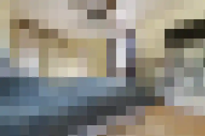 Dadelgaard 13 Spijkenisse thumbnail 33