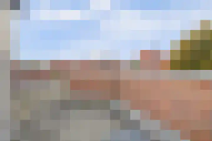 Dadelgaard 13 Spijkenisse thumbnail 38