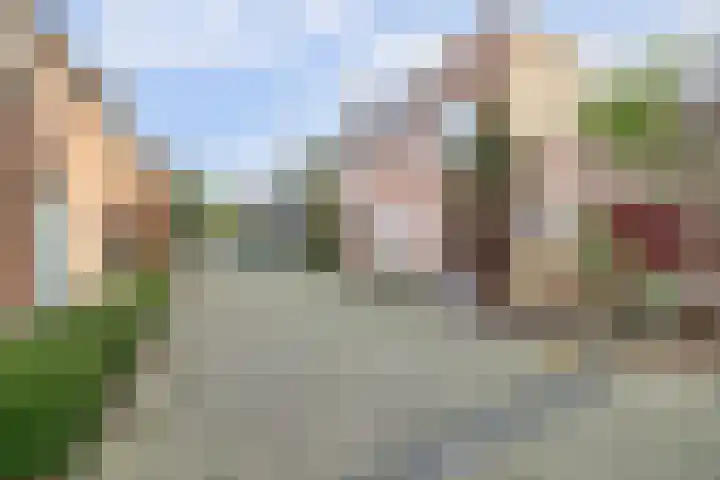 Dadelgaard 13 Spijkenisse thumbnail 41