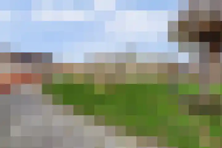 Dadelgaard 13 Spijkenisse thumbnail 43