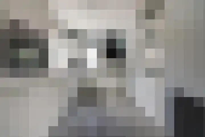Dadelgaard 13 Spijkenisse thumbnail 5
