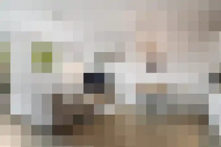 Dadelgaarde 11 F Zoetermeer thumbnail 15