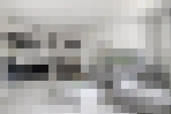 Dadelgaarde 11 F Zoetermeer thumbnail 15