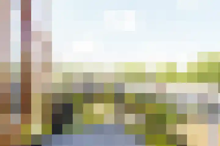 Dadelgaarde 11 F Zoetermeer thumbnail 17