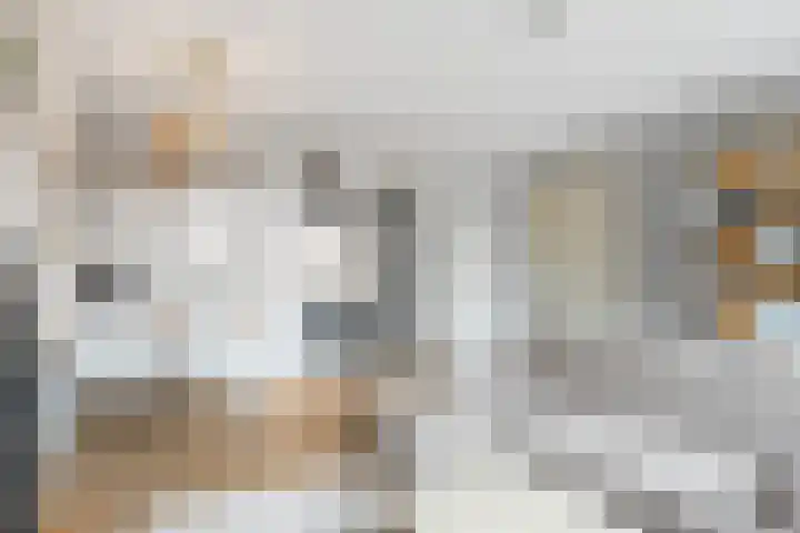 Dadelgaarde 11 F Zoetermeer thumbnail 19