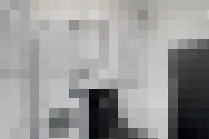 Dadelgaarde 11 F Zoetermeer thumbnail 20