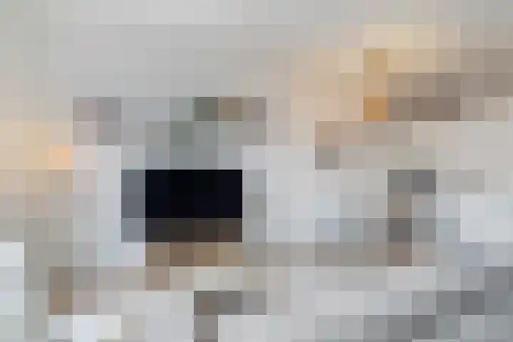 Dadelgaarde 11 F Zoetermeer thumbnail 20