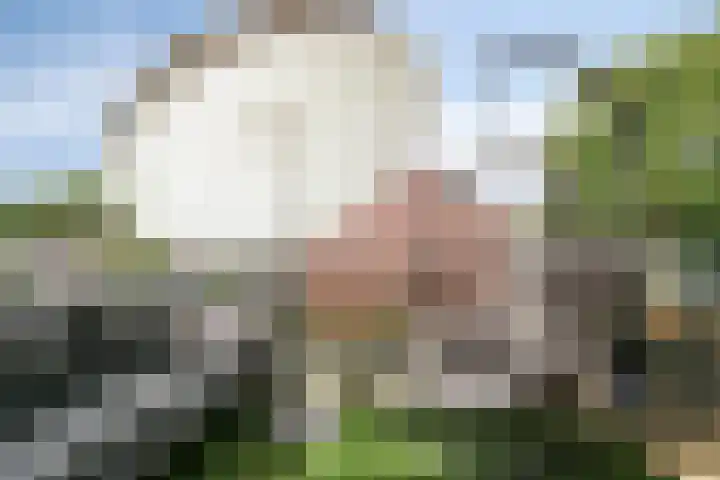 Dadelgaarde 11 F Zoetermeer thumbnail 22