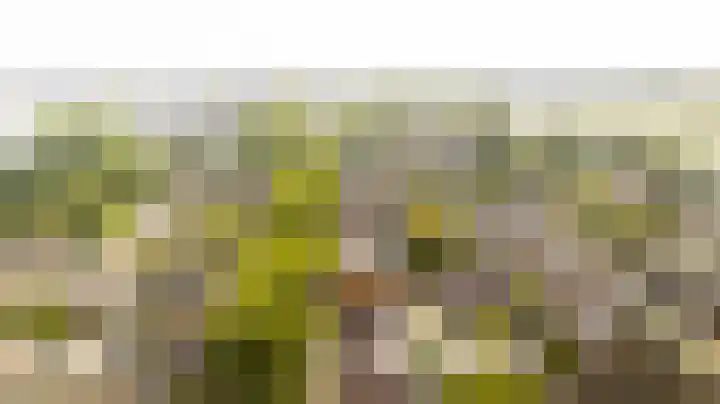 Dadelgaarde 11 F Zoetermeer thumbnail 23