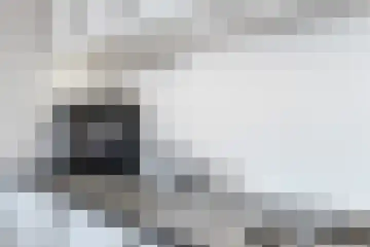 Dadelgaarde 11 F Zoetermeer thumbnail 24