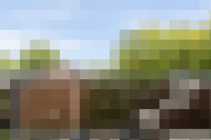 Dadelgaarde 11 F Zoetermeer thumbnail 32