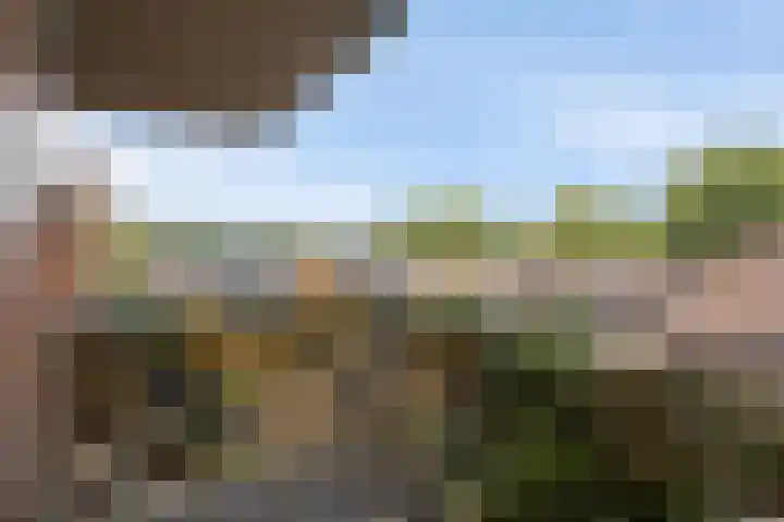 Dadelgaarde 11 F Zoetermeer thumbnail 34