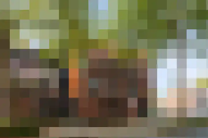 Dadelgaarde 11 F Zoetermeer thumbnail 37