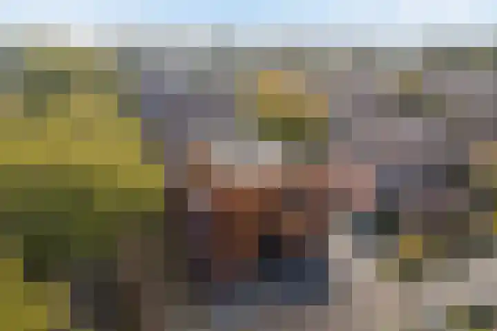 Dadelgaarde 11 F Zoetermeer thumbnail 6