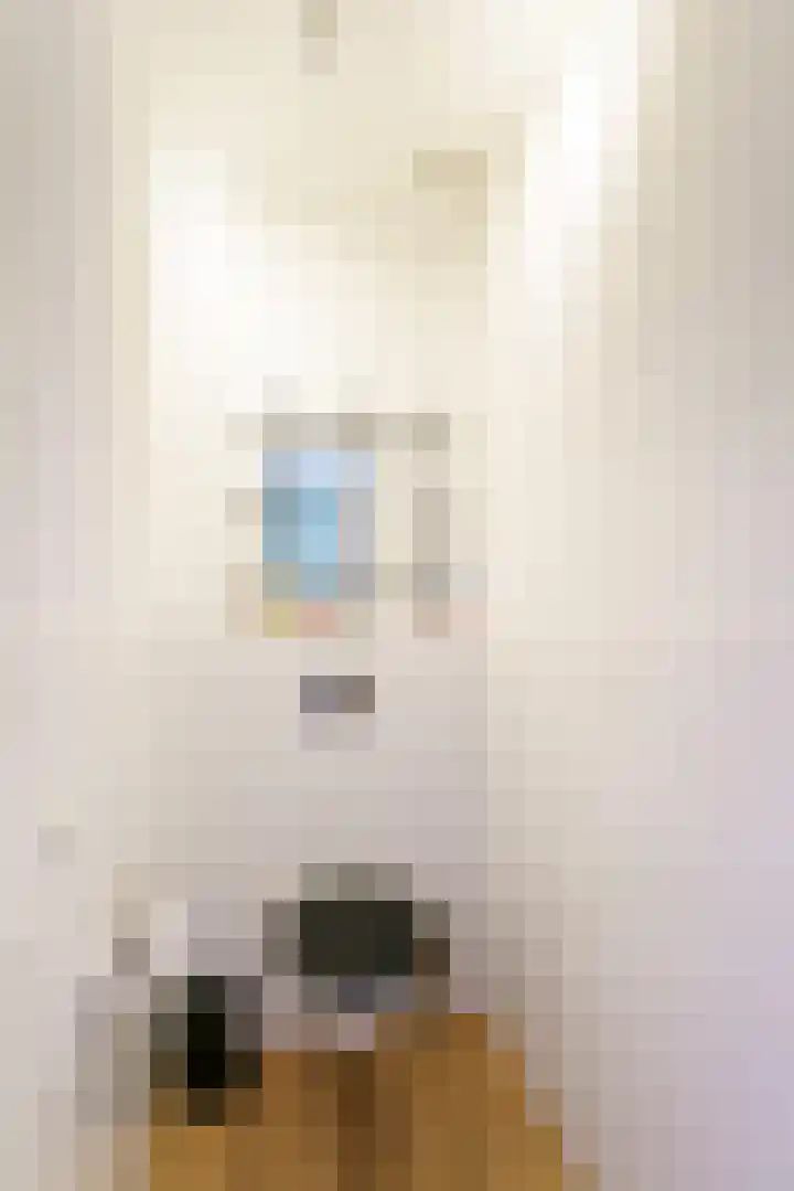 Dadelgaarde 11 F Zoetermeer thumbnail 6