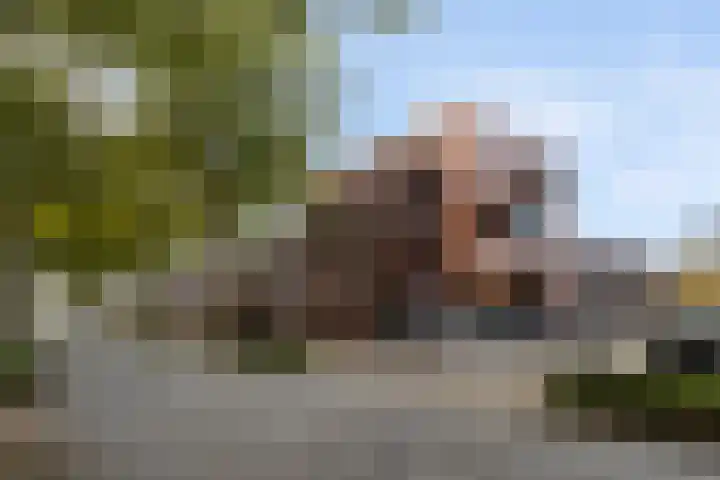 Dadelgaarde 11 F Zoetermeer thumbnail 7
