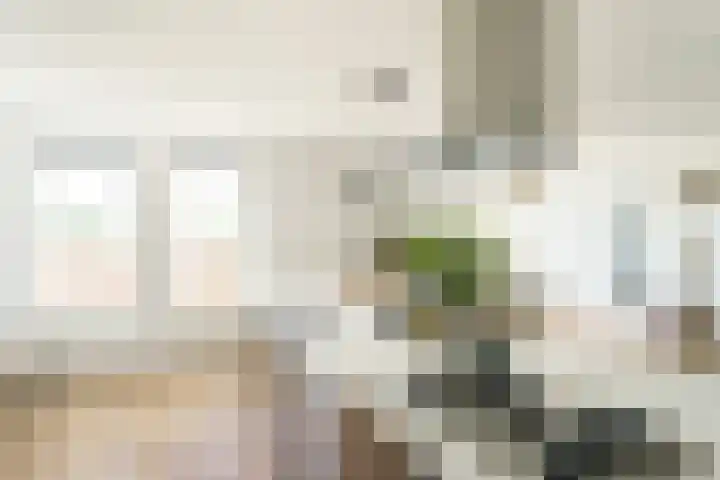 Dadelgaarde 11 F Zoetermeer thumbnail 8