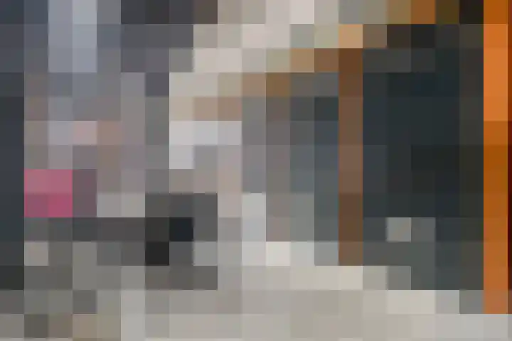 Dadelgaarde 11 F Zoetermeer thumbnail 8