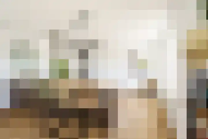 Dadelgaarde 11 F Zoetermeer thumbnail 9