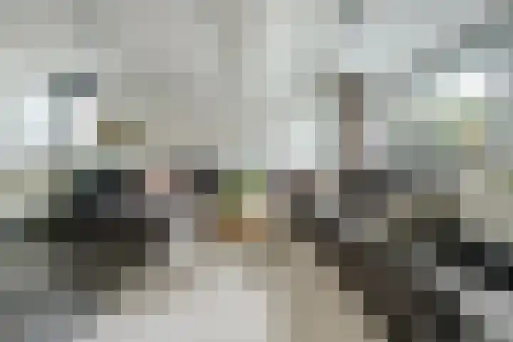 Dadelgaarde 117 Hendrik-Ido-Ambacht thumbnail 10