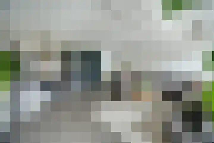 Dadelgaarde 117 Hendrik-Ido-Ambacht thumbnail 11