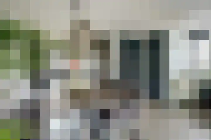 Dadelgaarde 117 Hendrik-Ido-Ambacht thumbnail 12