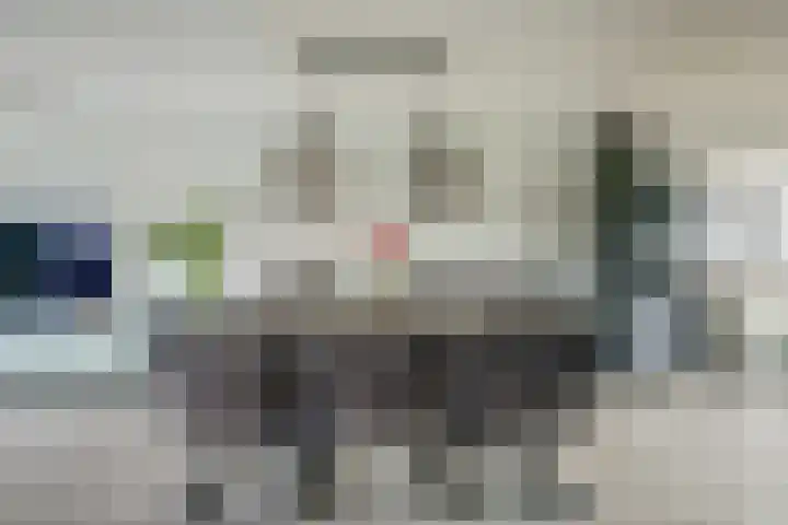 Dadelgaarde 117 Hendrik-Ido-Ambacht thumbnail 13