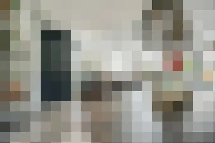 Dadelgaarde 117 Hendrik-Ido-Ambacht thumbnail 20