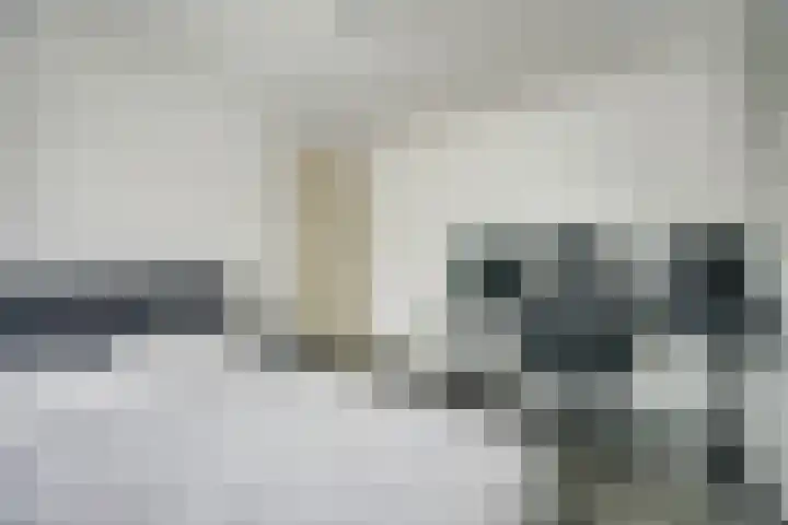 Dadelgaarde 117 Hendrik-Ido-Ambacht thumbnail 27