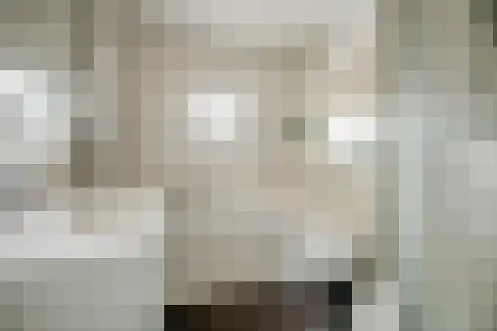 Dadelgaarde 117 Hendrik-Ido-Ambacht thumbnail 30