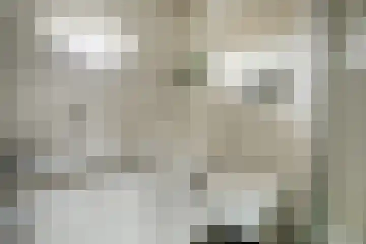 Dadelgaarde 117 Hendrik-Ido-Ambacht thumbnail 32