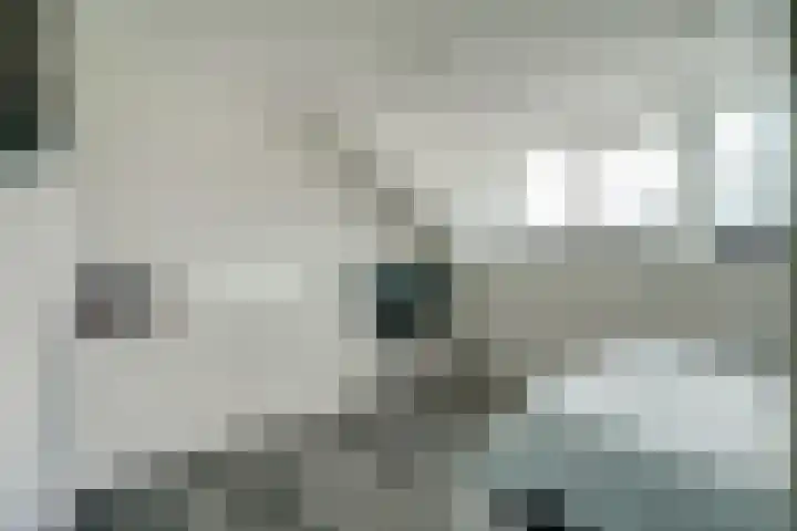 Dadelgaarde 117 Hendrik-Ido-Ambacht thumbnail 37