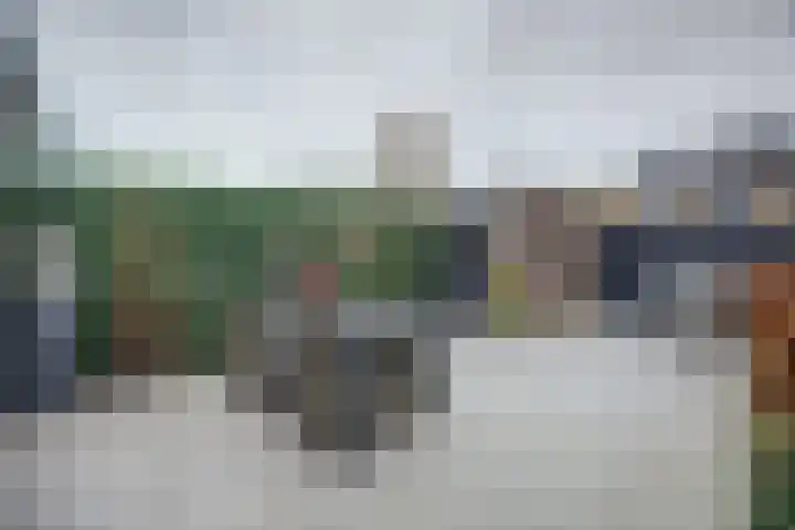 Dadelgaarde 117 Hendrik-Ido-Ambacht thumbnail 41