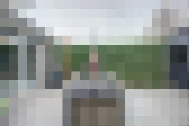 Dadelgaarde 117 Hendrik-Ido-Ambacht thumbnail 43