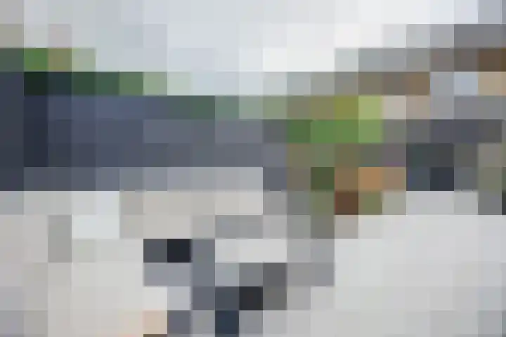 Dadelgaarde 117 Hendrik-Ido-Ambacht thumbnail 45