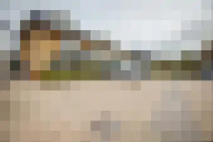 Dadelgaarde 117 Hendrik-Ido-Ambacht thumbnail 47