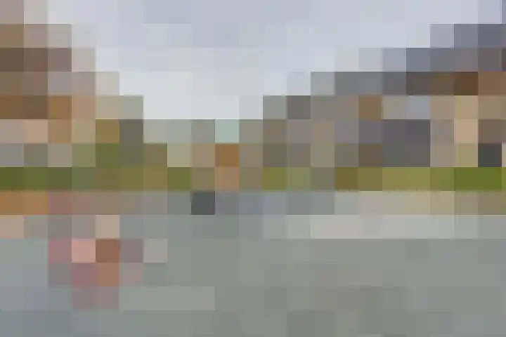 Dadelgaarde 117 Hendrik-Ido-Ambacht thumbnail 48