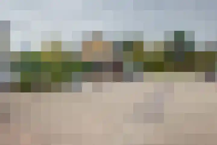 Dadelgaarde 117 Hendrik-Ido-Ambacht thumbnail 49