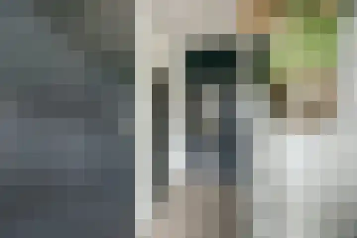 Dadelgaarde 117 Hendrik-Ido-Ambacht thumbnail 5