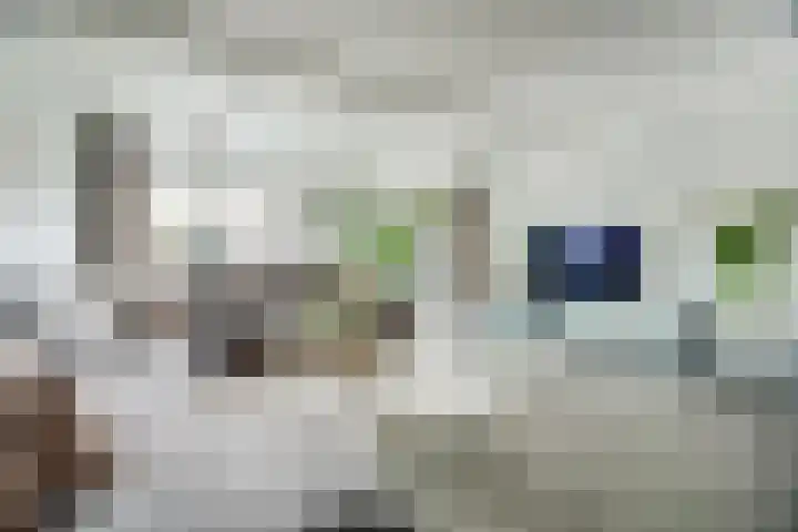 Dadelgaarde 117 Hendrik-Ido-Ambacht thumbnail 6