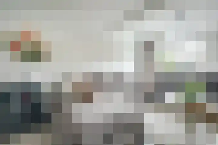 Dadelgaarde 117 Hendrik-Ido-Ambacht thumbnail 7